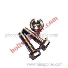 Titanium Hex Flange Head Bolts