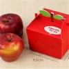 Wholesale Custom Paper Printed Apple Collapsible Gift Box For Christmas Gift