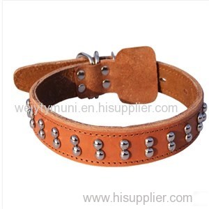 Pet Strap Tho-04 Product Product Product