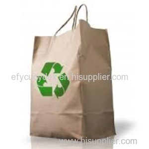 Professional Design Reusable Paper Bag