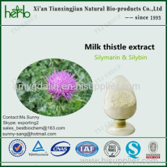 milk thistle extract 80% Silymarin UV 30% Silybin HPLC