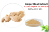 Ginger Root Extract Gingerol 5%10% by UV ginger instant powder