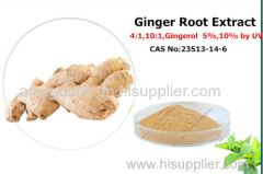 Ginger Root Extract Gingerol 5%10% by UV ginger instant powder