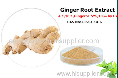 Ginger Root Extract Gingerol 5%10% by UV ginger instant powder