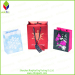 Promotion Paper Packing Shopping Gift Bag