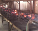 Steel cord fire resistant conveyor belt with memory function