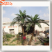 Garden decor Coconut plants Bent shape artificial cocnut Palm Trees