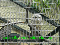 Stainless Steel Welded Mesh Zoo