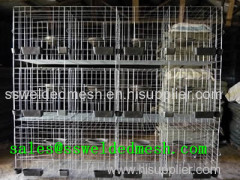 Stainless Steel Welded Mesh Cage