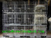 Stainless Steel Welded Mesh Cage