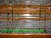 Stainless steel welded wire mesh shelves