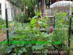 Stainless Steel Welded Mesh Plant