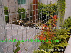 Stainless Steel Welded Mesh Plant