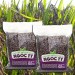 Purple Rice Vietnam Black Rice Good For Health For Sale