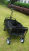 Stylish Foldable Trolley Cart