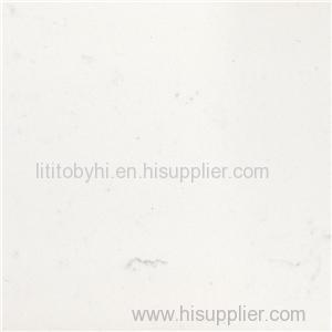 SS6313 Carrara Product Product Product