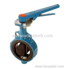 Flowserve butterfly valve Flowserve butterfly valve