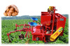 Amisy Potato Harvester Equipment