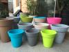 Environmental Plant Flower Pot