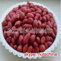 red skin peanuts for spain macedonia kosovo albania tunisia morocco