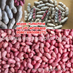 chinese red skin peanut (silihong peanuts)