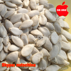 snow white pumpkin seeds for iraq/egypt/ iran/ market