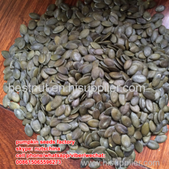 snow white pumpkin seeds for iraq/egypt/ iran/ market