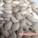 shine skin pumpkin seeds for greece UAE egypt