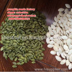 shine skin pumpkin seeds