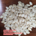 shine skin pumpkin seeds for greece UAE egypt