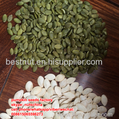 shine skin pumpkin seeds