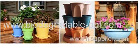 Environmental Biodegradable flower pot