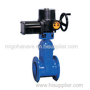 Electro Wedge Gate Valve