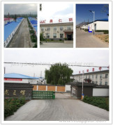 Hebei Dragon King Food Co., Ltd.