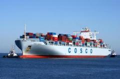 Export & Import Ocean Freight