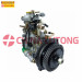 Diesel Fuel Injection Systems Ve Pump Supplier