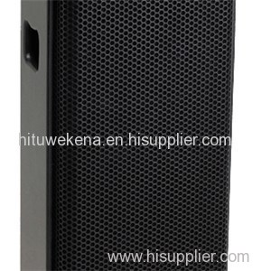 PS 10 Inch Stage Monitor Speaker
