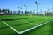 Customized Tennis Court Artificial Sports Grass Comfortable Natural Looking