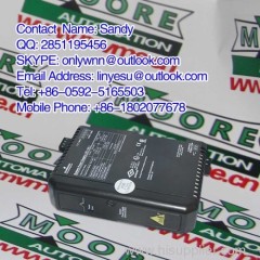 Emerson 1C31174G03 in stock