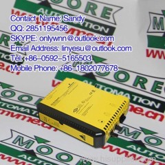 Emerson 1C31177G02 in stock