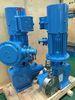 250LPH Double Diaphragm Dosing Pump For High Viscosity Liquid