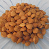 Raw Bitter Apricot Kernel