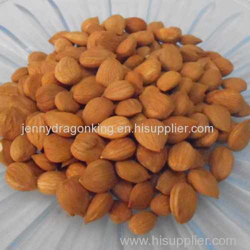 Raw Bitter Apricot Kernel