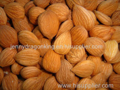 Best quality of sweet apricot kernel for soup/cooking/bread/candy