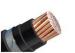 Single Core Armoured Electrical Cable 1kV Copper Conductor PVC Insulated Stainless Steel Tape Armor