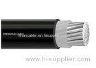 Aluminum Conductor Single Core & Multi core XLPE Insulated Power cable Low Voltage 600/1000V