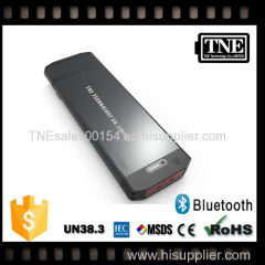 TNE 48v 20ah high capacity lithium battery for ebike