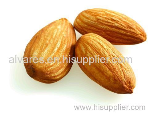 Almond nuts for snacks
