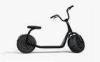 Smart 1000W Motorized Electric Scooter E Bike With Two Fat Wheeler