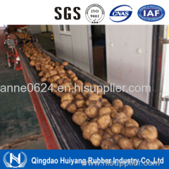 ISO Certified Mining Industrial Conveyor Belt /Ep Nn Cc St Conveyor Belt Manufacture